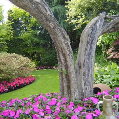 Aiuola realizzata attorno a un albero