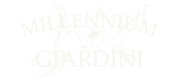 Millennium Giardini